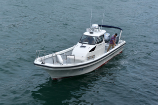 Grandsea 35ft panga fishing boat for sale fiberglass boat